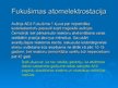 Prezentācija 'Atomelektrostacijas', 9.