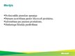 Prezentācija 'Microsoft partneru konference', 3.