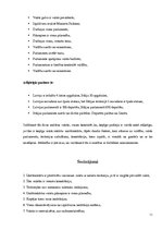 Referāts 'Unitāras valsts raksturojums', 11.