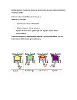 Prakses atskaite 'Dīzeļdzinēju iesmidzes sistēmas veidi', 6.