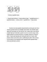 Prakses atskaite 'Dīzeļdzinēju iesmidzes sistēmas veidi', 17.