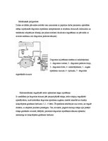 Prakses atskaite 'Dīzeļdzinēju iesmidzes sistēmas veidi', 19.