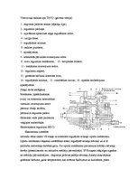 Prakses atskaite 'Dīzeļdzinēju iesmidzes sistēmas veidi', 20.
