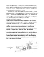 Prakses atskaite 'Dīzeļdzinēju iesmidzes sistēmas veidi', 21.