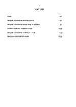 Referāts 'Nelegālā nodarbinātība', 2.