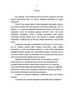 Referāts 'Nelegālā nodarbinātība', 3.