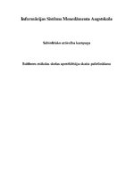 Referāts 'Baldones mākslas skolas apmēklētāju skaita palielināšana', 1.
