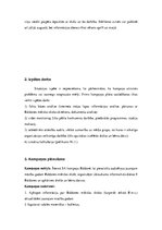 Referāts 'Baldones mākslas skolas apmēklētāju skaita palielināšana', 5.