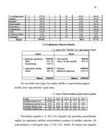 Biznesa plāns 'Biznesa plāns viesu mājai', 29.