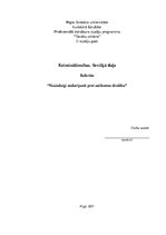 Referāts 'Noziedzīgi nodarījumi pret satiksmes drošību', 1.