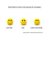 Konspekts 'Mācību stundas plānojums', 8.