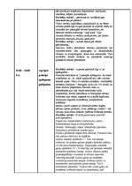 Prakses atskaite 'Prakses dienasgrāmata - medicīna', 13.