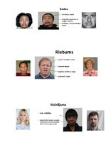 Referāts 'Melu diagnostika. Emocijas', 5.