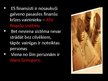 Prezentācija 'Finanšu krīze', 3.