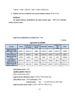 Referāts 'Viesu nama "Vītolkrasti" finanšu rādītāju analīze', 23.