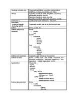 Referāts 'Ontoloģiskā konstrukcija BWW attēlojuma modelī', 4.