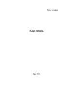 Referāts 'Kaķu dzimta', 1.