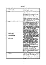 Referāts 'Kaķu dzimta', 4.