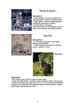 Referāts 'Kaķu dzimta', 10.