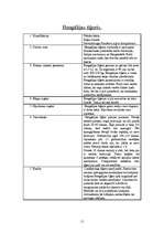 Referāts 'Kaķu dzimta', 11.