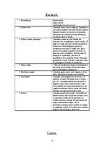 Referāts 'Kaķu dzimta', 12.