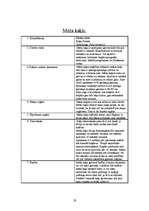 Referāts 'Kaķu dzimta', 19.