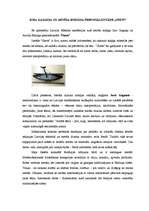 Eseja 'Jura Gagaiņa un Arvīda Endziņa personālizstāde “Simts”', 1.