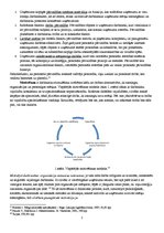 Konspekts 'Darba resursu pārvaldības sistēma', 5.