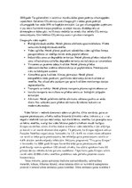 Referāts 'Vides un sabiedrības kā divu sistēmu mijiedarbība', 3.