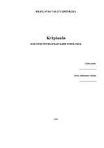 Referāts 'Krāpšanās', 1.