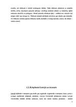 Referāts 'Krāpšanās', 14.