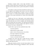 Diplomdarbs 'Profesionālais stress un darba vide uzņēmumā SIA "X"', 14.