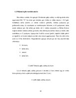 Diplomdarbs 'Profesionālais stress un darba vide uzņēmumā SIA "X"', 44.