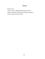 Diplomdarbs 'Profesionālais stress un darba vide uzņēmumā SIA "X"', 66.