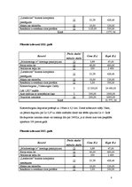 Biznesa plāns 'Biznesa plāns interneta veikalam', 8.