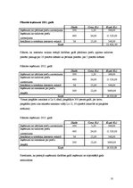 Biznesa plāns 'Biznesa plāns interneta veikalam', 10.