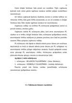 Referāts 'Pamatlīdzekļu nolietojuma būtība, aprēķināšana metodika un kontrole', 13.