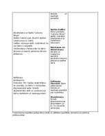 Konspekts 'Matemātiskās rotaļnodarbības', 7.