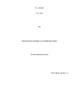 Referāts 'Piesārņojums Anniņmuižas mežā', 1.