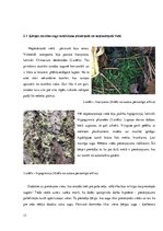 Referāts 'Piesārņojums Anniņmuižas mežā', 13.