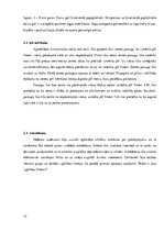 Referāts 'Piesārņojums Anniņmuižas mežā', 15.