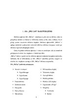 Prakses atskaite 'Prakses atskaite uzņēmumā SIA "WeCan"', 4.