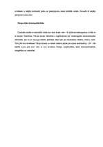 Referāts 'Eiro kā naudas vienība', 4.