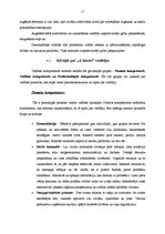 Referāts 'Vadītāja vadības stils un efektivitātes mijiedarbība', 17.