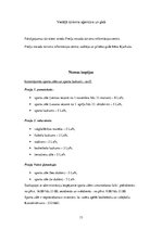 Konspekts 'Preiļu tūrisma resursu katalogs', 13.