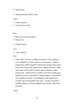 Konspekts 'Preiļu tūrisma resursu katalogs', 28.