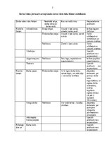 Konspekts 'Darba vides riska novērtēšana būvniecības veikalā', 2.