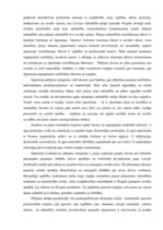 Referāts 'Jaunatnes socioloģija V.Meņšikova un T.Tisenkopfa skatījumā', 33.