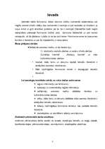 Referāts 'Feminisma ideju ietekme latviešu literatūrā', 3.