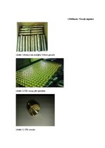 Referāts 'CNC virpas "Okuma Space Turn LB-300" automatizēšana, stieņa padeves mehānisms', 38.